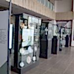 Sancaktepe Cimnastik Eğitim Merkezi