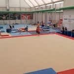 Halkapınar Cimnastik Antrenman Salonu