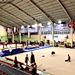 Cemal Alpman Cimnastik Salonu